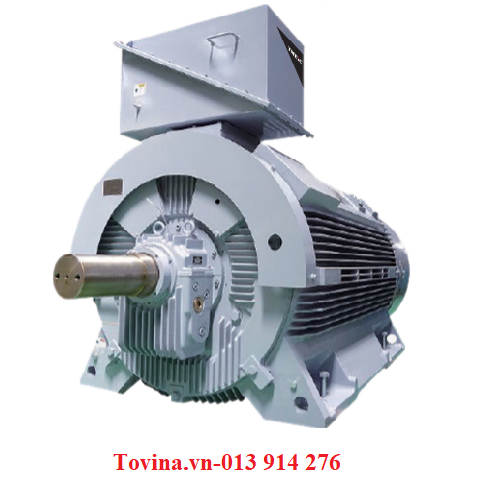 Custom-Designed Induction Motors